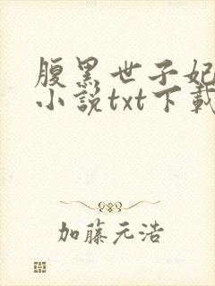 腹黑世子妃日常小说txt下载