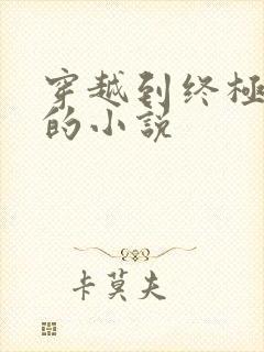 穿越到终极斗罗的小说