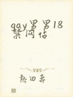 gay男男18禁网站