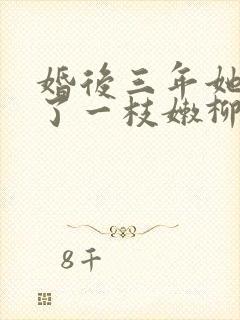 婚后三年她变心了一枝嫩柳