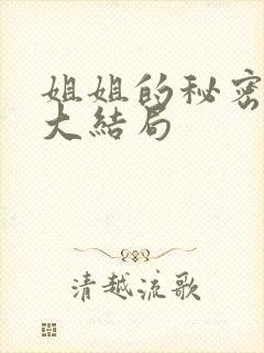 姐姐的秘密动漫大结局