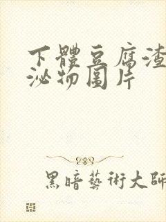 下体豆腐渣状分泌物图片封面