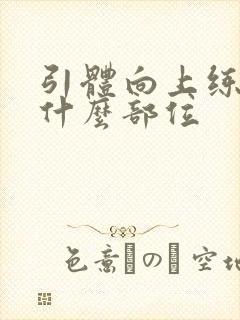 引体向上练的是什么部位封面