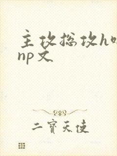 主攻总攻h啪肉np文