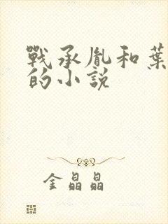 战承胤和叶苜苜的小说封面