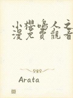 小樱鸣人之夜动漫免费观看全集下载