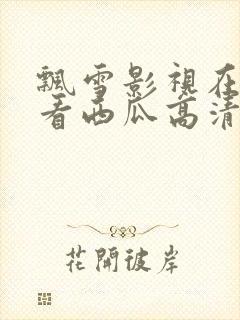 飘雪影视在线观看西瓜高清免费版