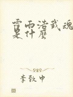 霍雨浩武魂分别是什么