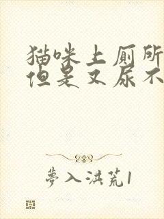 猫咪上厕所频繁但是又尿不出来