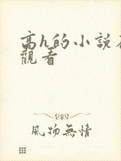 高h的小说在线观看