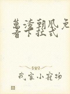 万渣朝凰免费观看下拉式封面