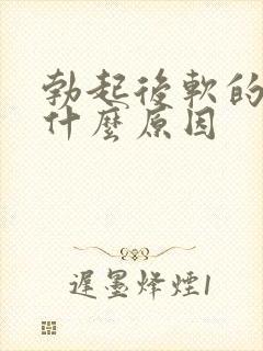 勃起后软的快是什么原因