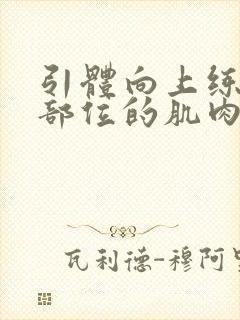 引体向上练什么部位的肌肉封面