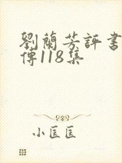 刘兰芳评书岳飞传118集