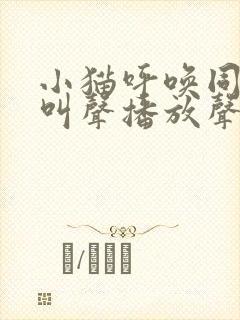 小猫呼唤同伴的叫声播放声音