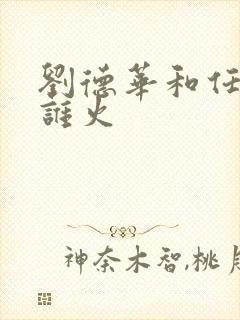 刘德华和任贤齐谁火