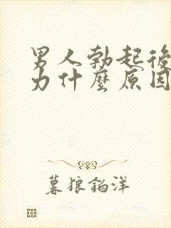 男人勃起后软无力什么原因