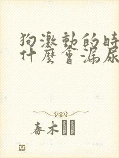 狗激动的时候为什么会漏尿封面