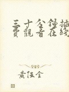 三十分钟插曲免费观看在线观看高清