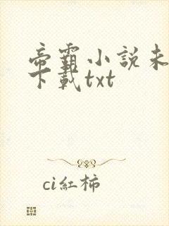 帝霸小说未删版下载txt