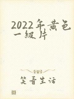 2022年黄色一级片
