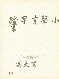 踏星有声小说听书