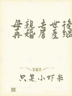 母亲去世后父亲再婚房产继承