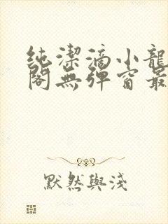 纯洁滴小龙笔趣阁无弹窗最新章节阅封面