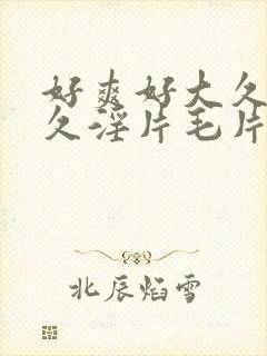 好爽好大久久久久淫片毛片