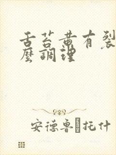 舌苔黄有裂纹怎么调理