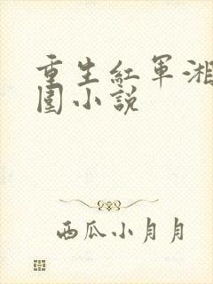 重生红军湘江突围小说