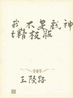 我不是戏神txt精校版
