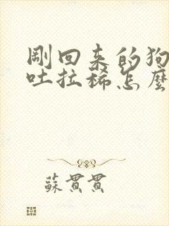 刚回来的狗狗呕吐拉稀怎么办?封面