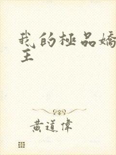 我的极品娇妻女主