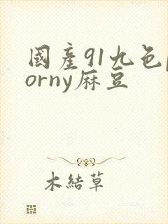 国产91九色porny麻豆