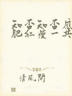 知否知否应是绿肥红瘦一共多少集