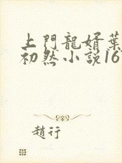 上门龙婿叶辰萧初然小说1673章儿童手风琴