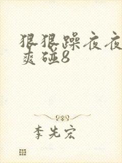 狠狠躁夜夜躁人爽碰8