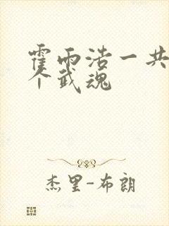 霍雨浩一共有几个武魂