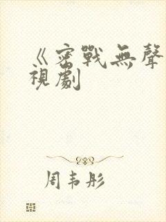 《密战无声》电视剧