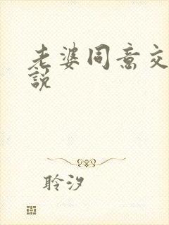 老婆同意交换小说封面