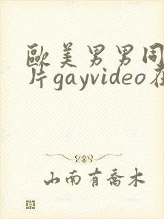 欧美男男同性恋片gayvideo在线看
