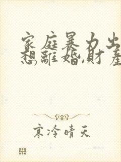 家庭暴力出轨,想离婚,财产怎么分割