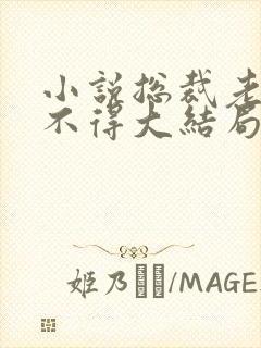 小说总裁老公惹不得大结局