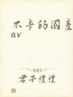 不卡的国产成人av