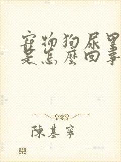 宠物狗尿里带血是怎么回事