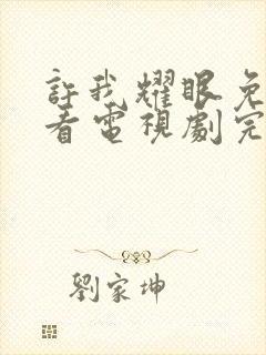 许我耀眼免费观看电视剧完整版