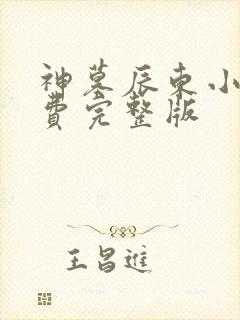 神墓辰东小说免费完整版