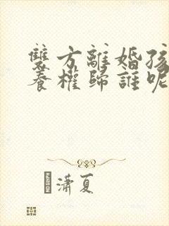 双方离婚孩子抚养权归谁呢