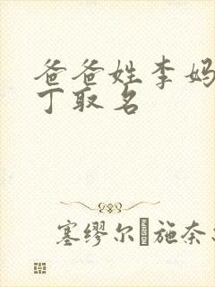 爸爸姓李妈妈姓丁取名